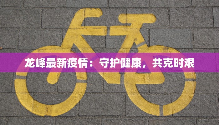 海牙最新疫情进展