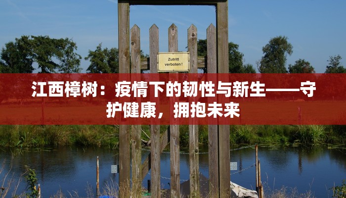 最新廊坊疫情动态：科学防控，守护健康生活