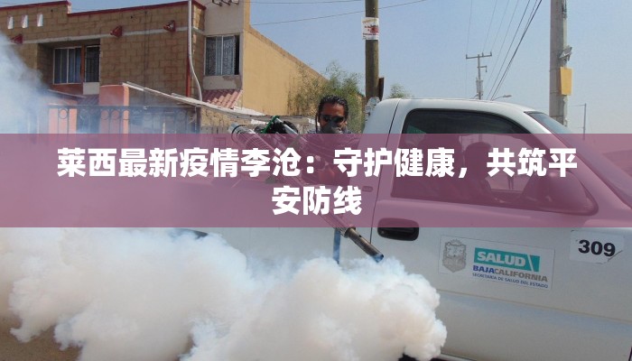 刘井村最新疫情：守护家园，科学防控，共克时艰