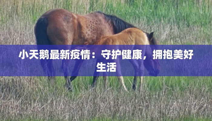 通辽库伦最新疫情：科学防控，共筑健康屏障