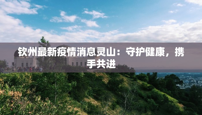 钦州最新疫情消息灵山:守护健康,携手共进 钦州最新疫情消息灵山:守护健康,携手共进