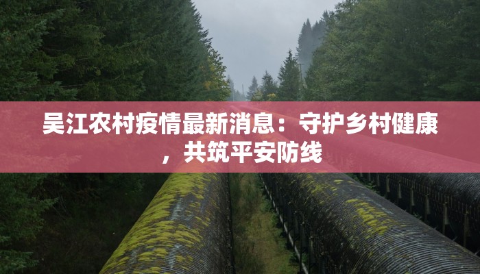 吴江农村疫情最新消息：守护乡村健康，共筑平安防线