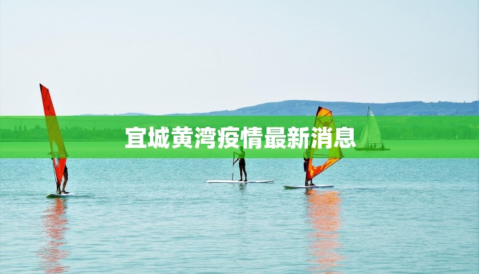 宜城黄湾疫情最新消息 宜城黄湾疫情最新消息