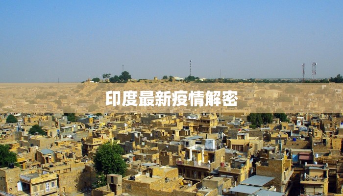 印度最新疫情解密