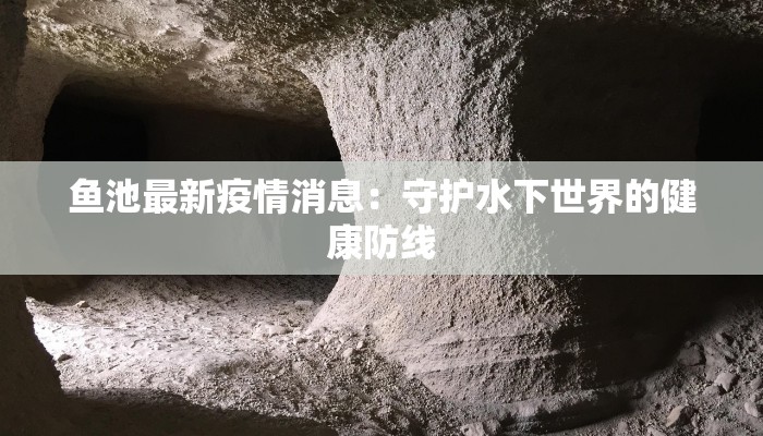 鱼池最新疫情消息:守护水下世界的健康防线 鱼池最新疫情消息:守护水下世界的健康防线