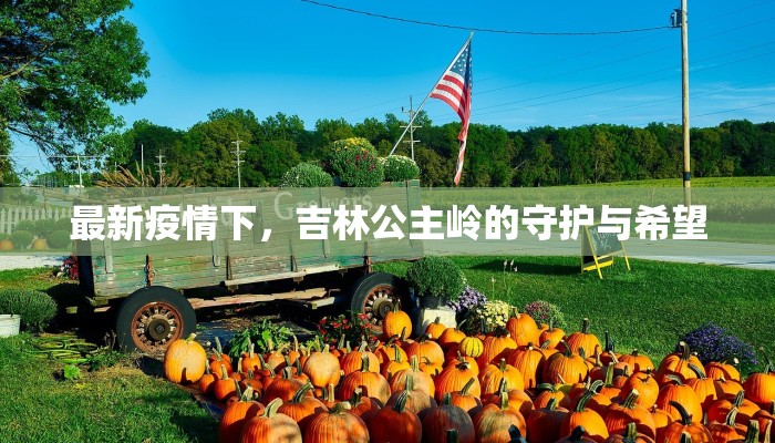 最新疫情下，吉林公主岭的守护与希望