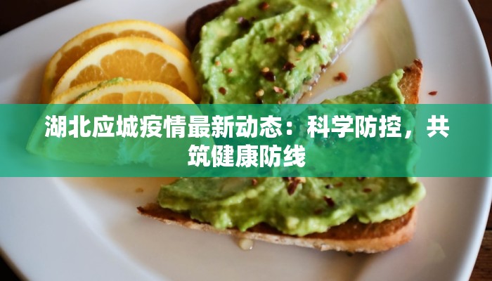 湖北应城疫情最新动态:科学防控,共筑健康防线 湖北应城疫情最新动态:科学防控,共筑健康防线
