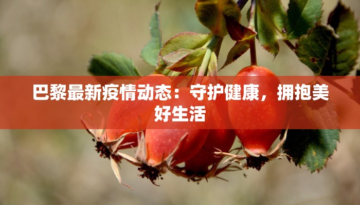 巴黎最新疫情动态：守护健康，拥抱美好生活