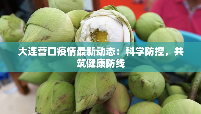大连营口疫情最新动态:科学防控,共筑健康防线 大连营口疫情最新动态:科学防控,共筑健康防线